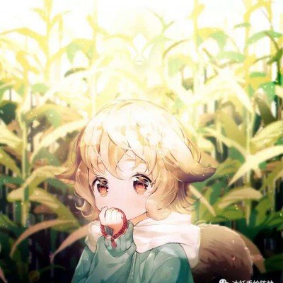 韩拟2040年前逐步减少韩朝边境驻兵